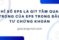 Chỉ Số EPS Là Gì? Tầm Quan Trọng Của EPS Trong Đầu Tư Chứng Khoán