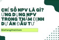 Chỉ Số NPV Là Gì? Ứng Dụng NPV Trong Thẩm Định Dự Án Đầu Tư Chỉ Số NPV Là Gì? Ứng Dụng NPV Trong Thẩm Định Dự Án Đầu Tư
