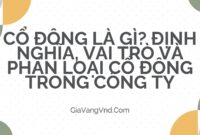 Cổ Đông Là Gì? Định Nghĩa, Vai Trò Và Phân Loại Cổ Đông Trong Công Ty
