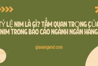 Tỷ Lệ NIM Là Gì? Tầm Quan Trọng Của NIM Trong Báo Cáo Ngành Ngân Hàng