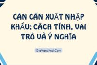 Cán Cân Xuất Nhập Khẩu: Cách Tính, Vai Trò Và Ý Nghĩa