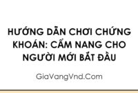 Hướng Dẫn Chơi Chứng Khoán: Cẩm Nang Cho Người Mới Bắt Đầu Hướng Dẫn Chơi Chứng Khoán: Cẩm Nang Cho Người Mới Bắt Đầu