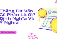 Thặng Dư Vốn Cổ Phần Là Gì? Định Nghĩa Và Ý Nghĩa